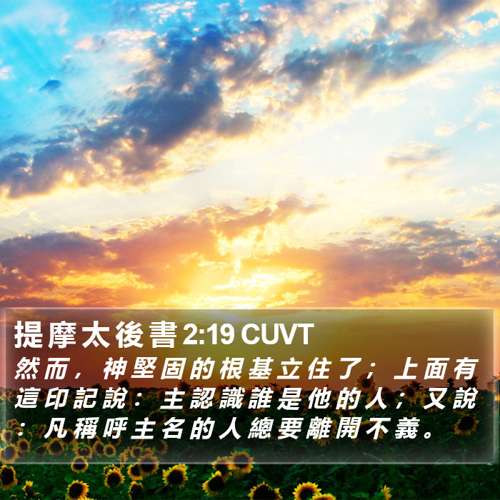 提 摩 太 後 書 2:19 CUVT Bible Study