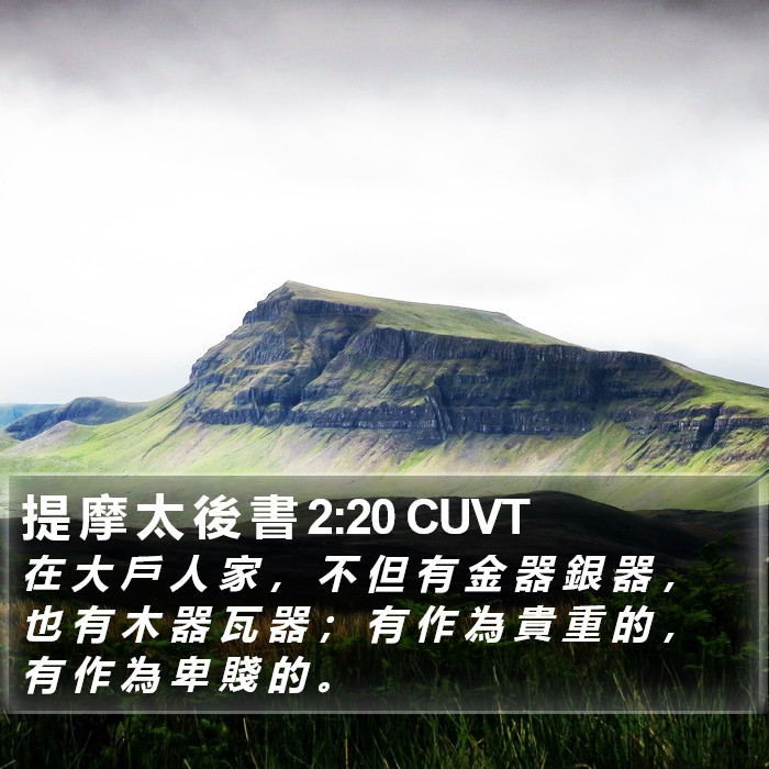 提 摩 太 後 書 2:20 CUVT Bible Study