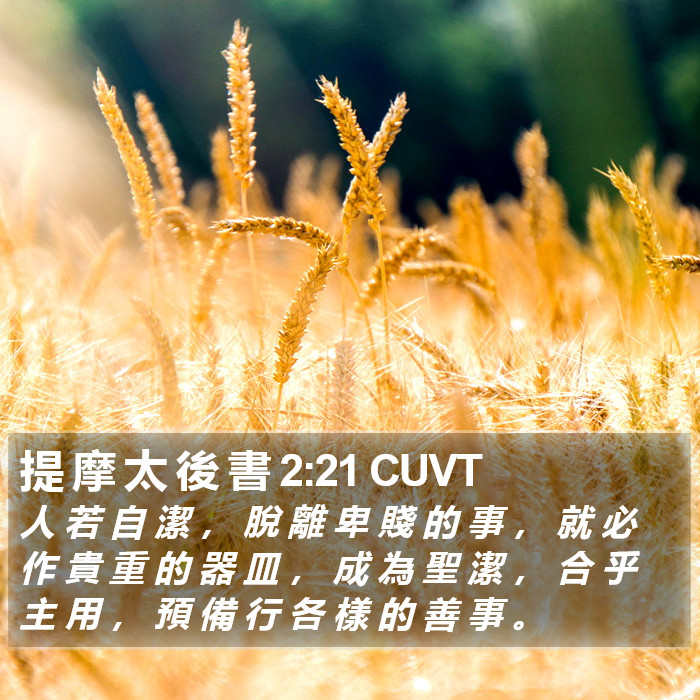 提 摩 太 後 書 2:21 CUVT Bible Study