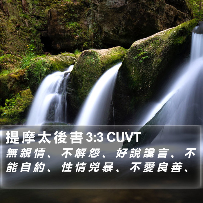 提 摩 太 後 書 3:3 CUVT Bible Study