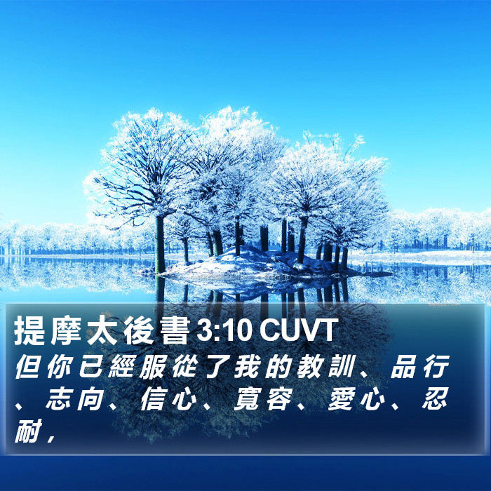 提 摩 太 後 書 3:10 CUVT Bible Study