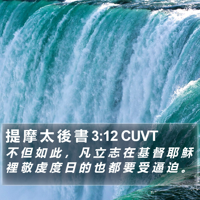 提 摩 太 後 書 3:12 CUVT Bible Study