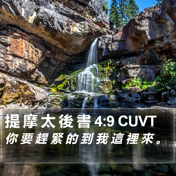 提 摩 太 後 書 4:9 CUVT Bible Study