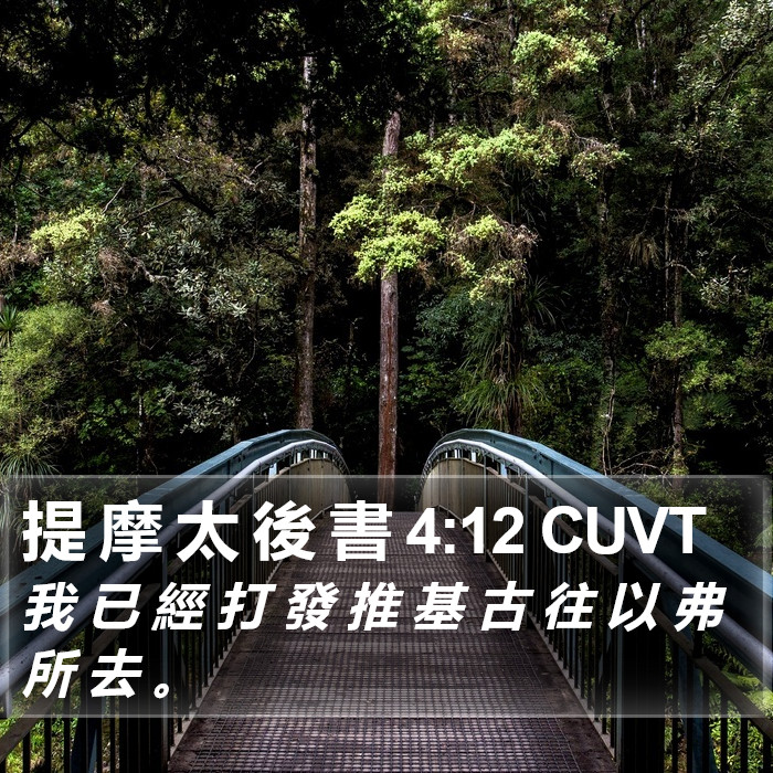 提 摩 太 後 書 4:12 CUVT Bible Study