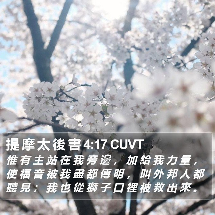 提 摩 太 後 書 4:17 CUVT Bible Study