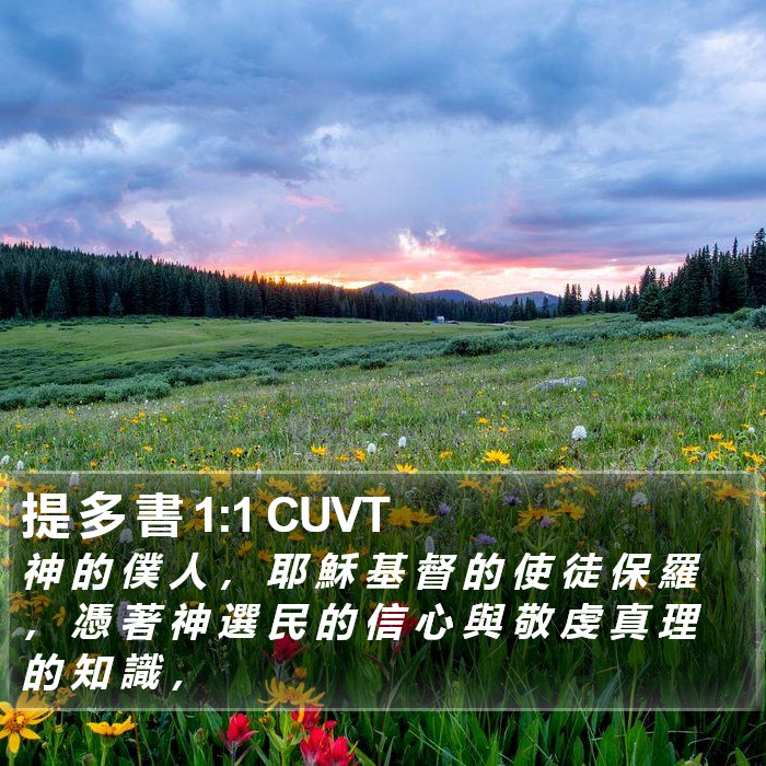 提 多 書 1:1 CUVT Bible Study