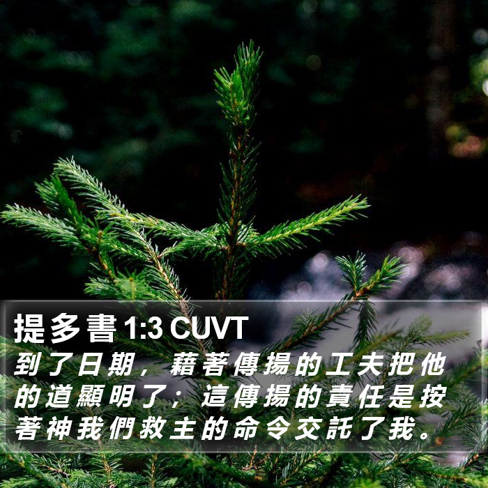 提 多 書 1:3 CUVT Bible Study