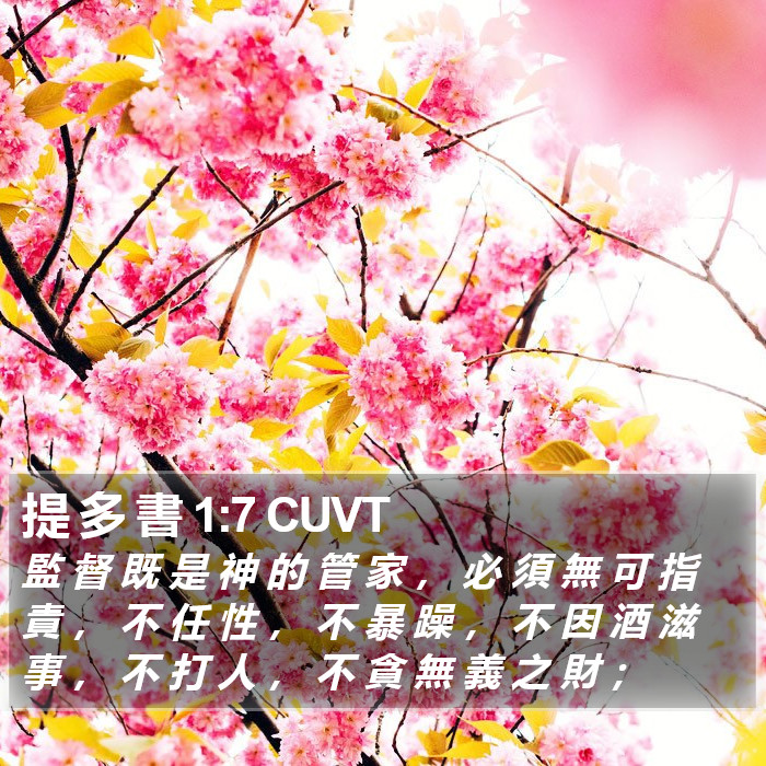 提 多 書 1:7 CUVT Bible Study