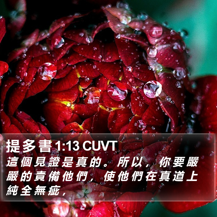 提 多 書 1:13 CUVT Bible Study