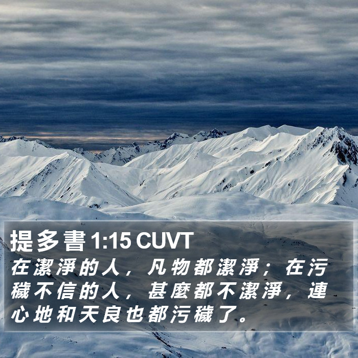 提 多 書 1:15 CUVT Bible Study