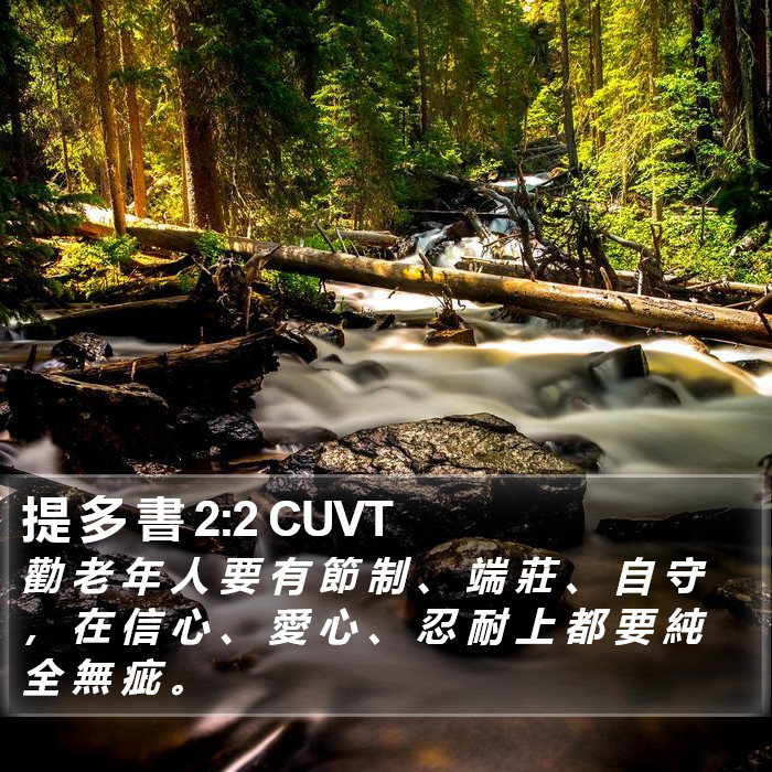 提 多 書 2:2 CUVT Bible Study