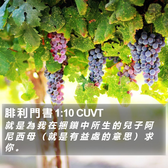 腓 利 門 書 1:10 CUVT Bible Study