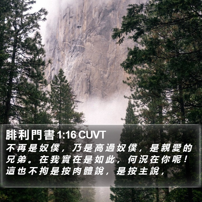 腓 利 門 書 1:16 CUVT Bible Study