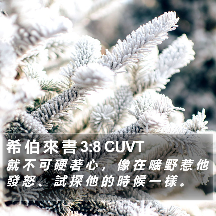 希 伯 來 書 3:8 CUVT Bible Study