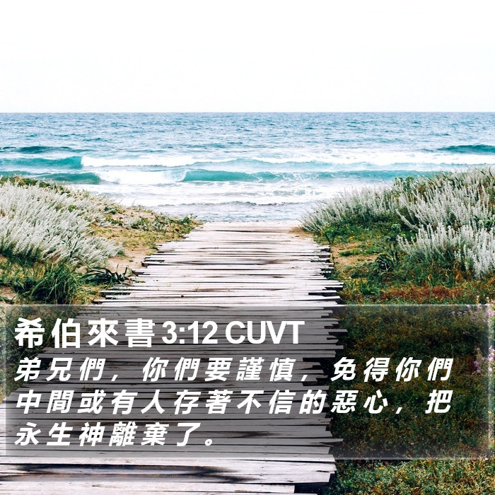 希 伯 來 書 3:12 CUVT Bible Study
