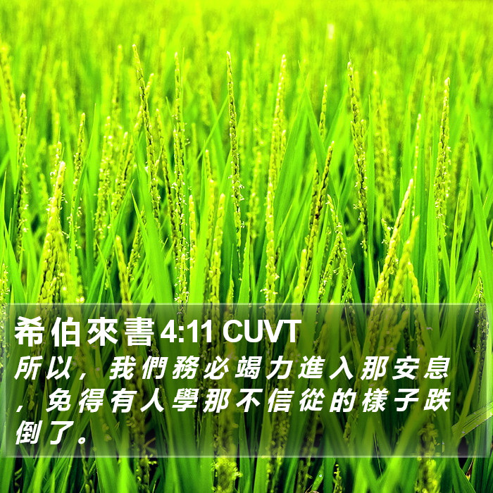 希 伯 來 書 4:11 CUVT Bible Study