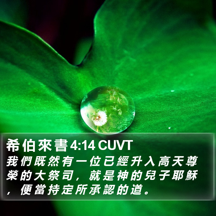 希 伯 來 書 4:14 CUVT Bible Study