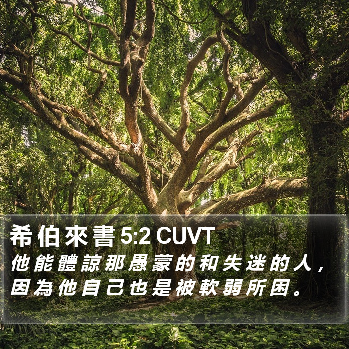 希 伯 來 書 5:2 CUVT Bible Study