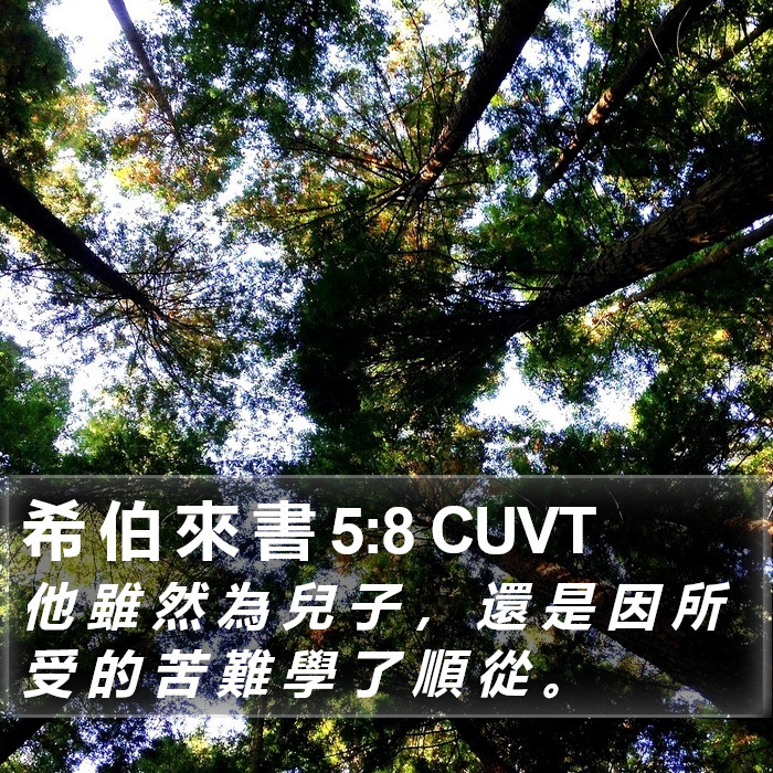 希 伯 來 書 5:8 CUVT Bible Study