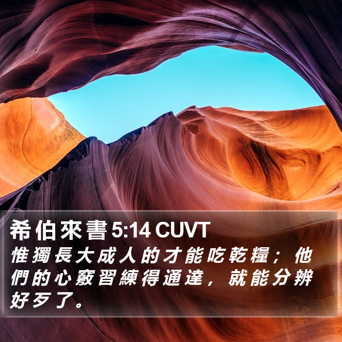 希 伯 來 書 5:14 CUVT Bible Study