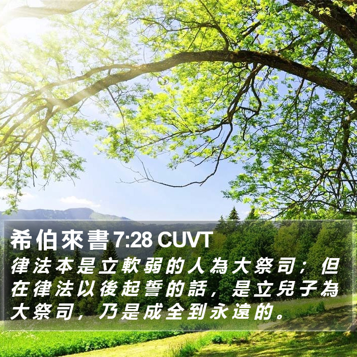 希 伯 來 書 7:28 CUVT Bible Study