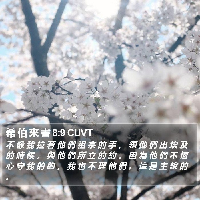 希 伯 來 書 8:9 CUVT Bible Study