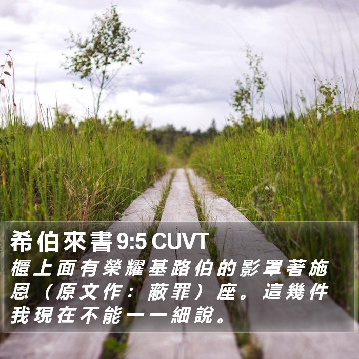 希 伯 來 書 9:5 CUVT Bible Study