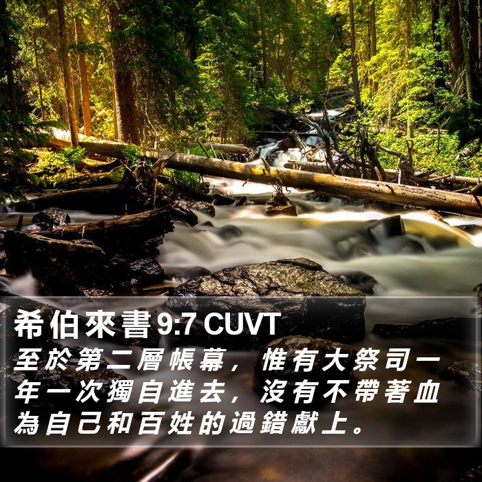 希 伯 來 書 9:7 CUVT Bible Study