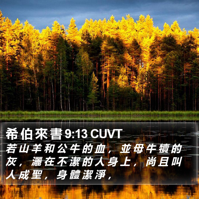 希 伯 來 書 9:13 CUVT Bible Study