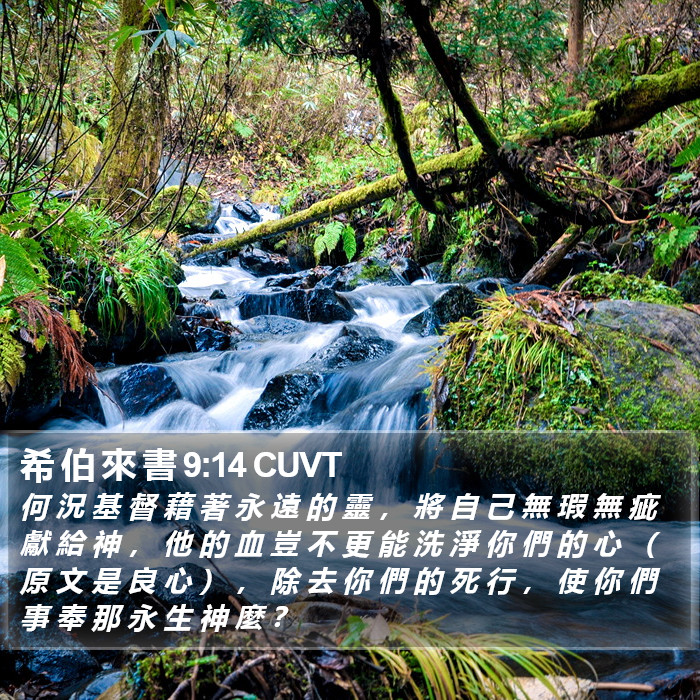 希 伯 來 書 9:14 CUVT Bible Study