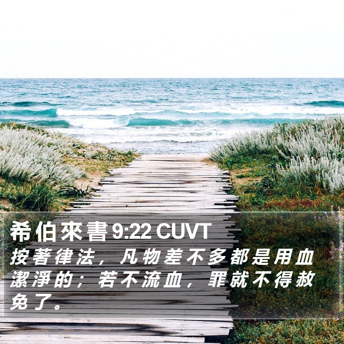 希 伯 來 書 9:22 CUVT Bible Study