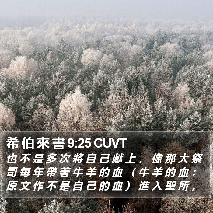 希 伯 來 書 9:25 CUVT Bible Study