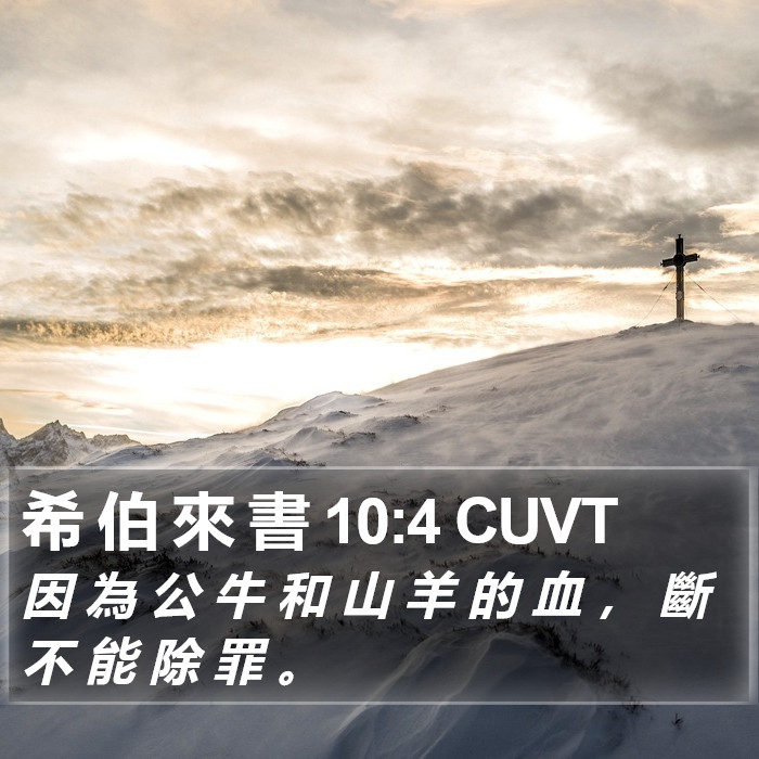 希 伯 來 書 10:4 CUVT Bible Study