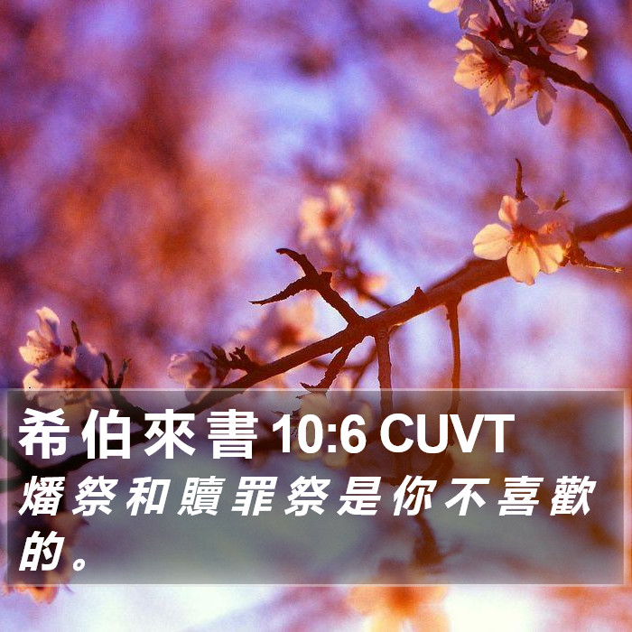 希 伯 來 書 10:6 CUVT Bible Study