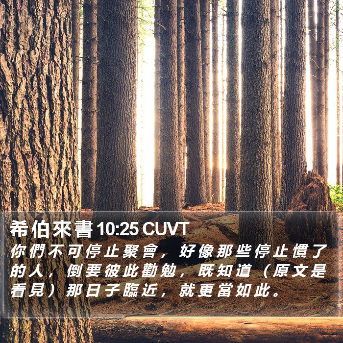 希 伯 來 書 10:25 CUVT Bible Study
