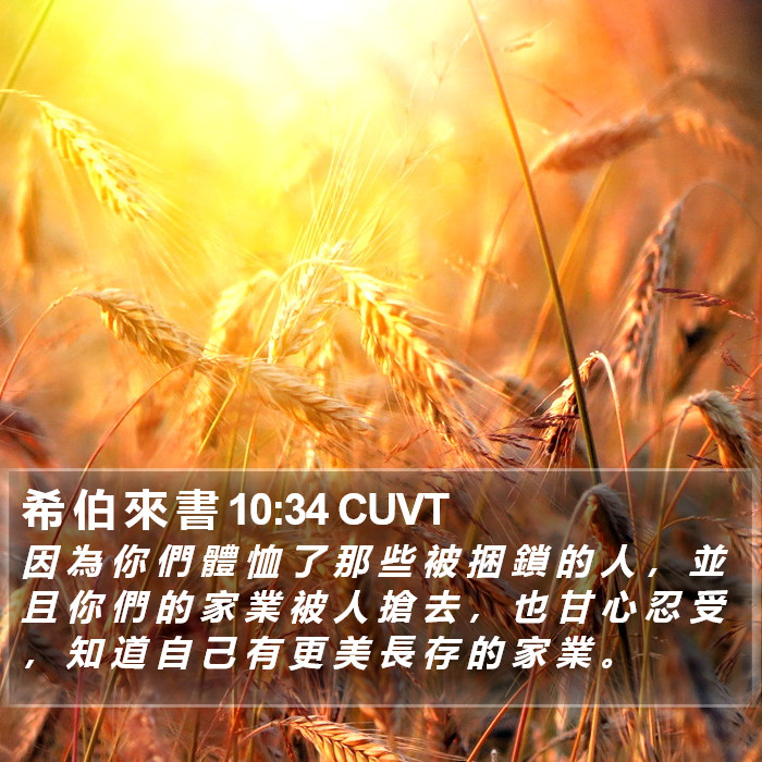希 伯 來 書 10:34 CUVT Bible Study