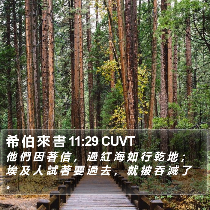 希 伯 來 書 11:29 CUVT Bible Study