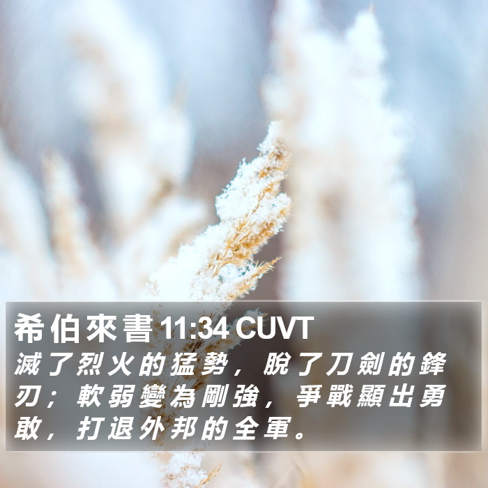 希 伯 來 書 11:34 CUVT Bible Study