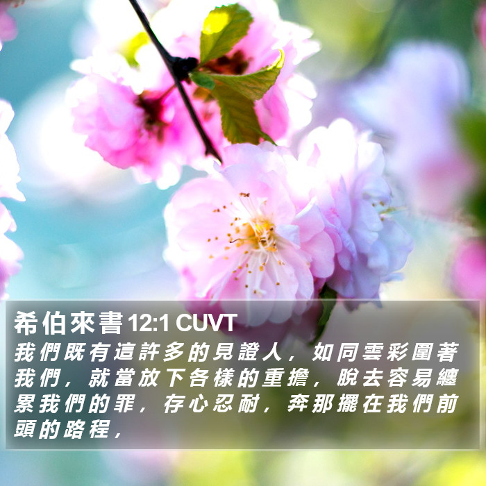 希 伯 來 書 12:1 CUVT Bible Study