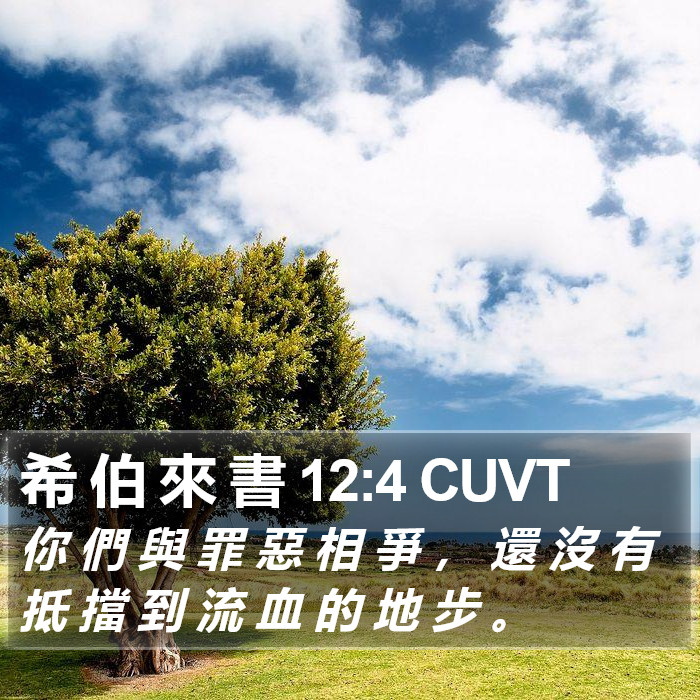 希 伯 來 書 12:4 CUVT Bible Study