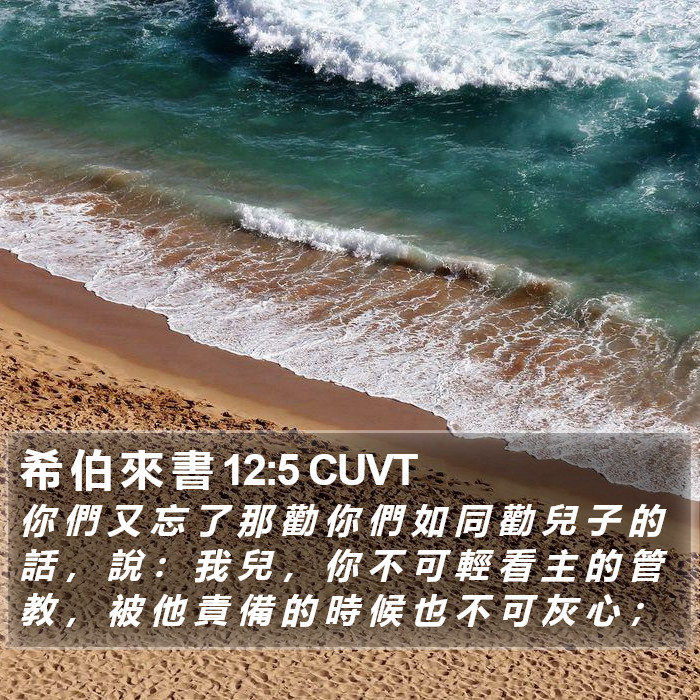 希 伯 來 書 12:5 CUVT Bible Study