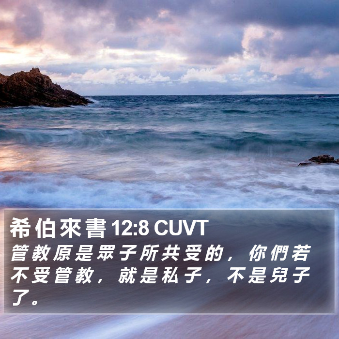 希 伯 來 書 12:8 CUVT Bible Study