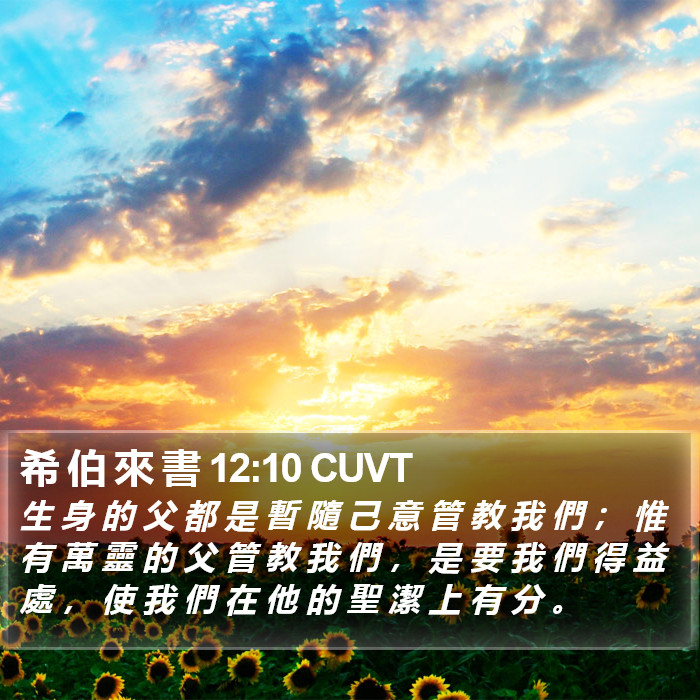 希 伯 來 書 12:10 CUVT Bible Study