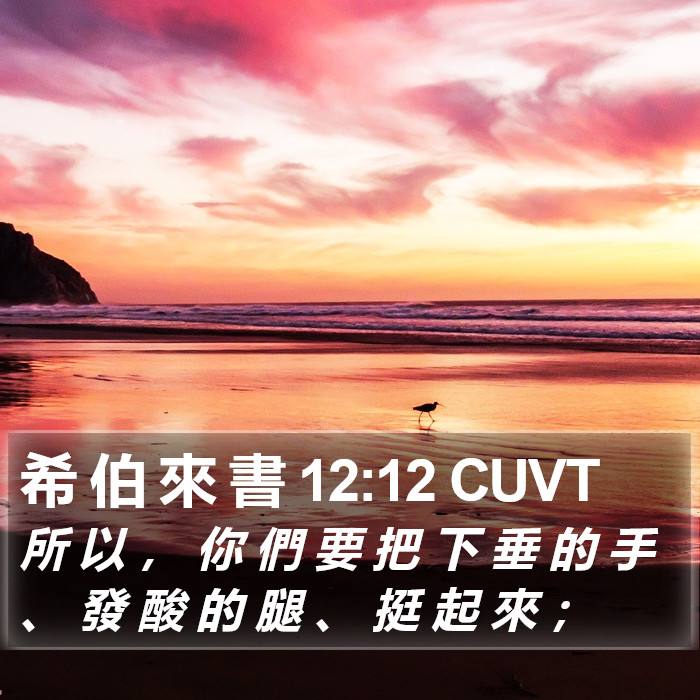 希 伯 來 書 12:12 CUVT Bible Study