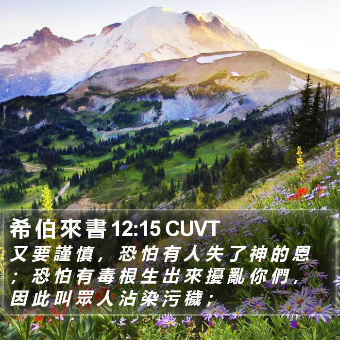 希 伯 來 書 12:15 CUVT Bible Study