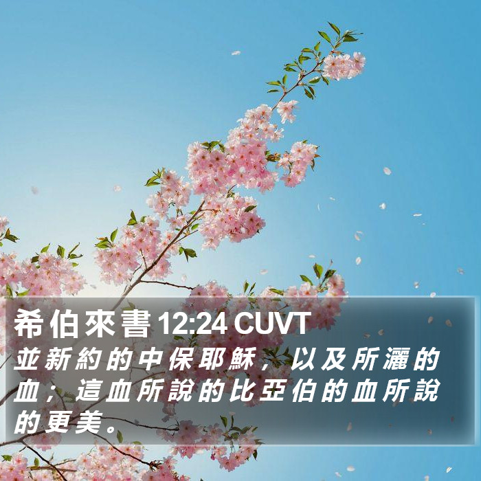 希 伯 來 書 12:24 CUVT Bible Study