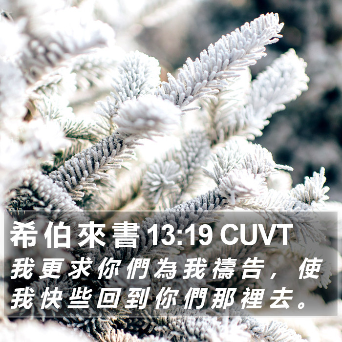 希 伯 來 書 13:19 CUVT Bible Study