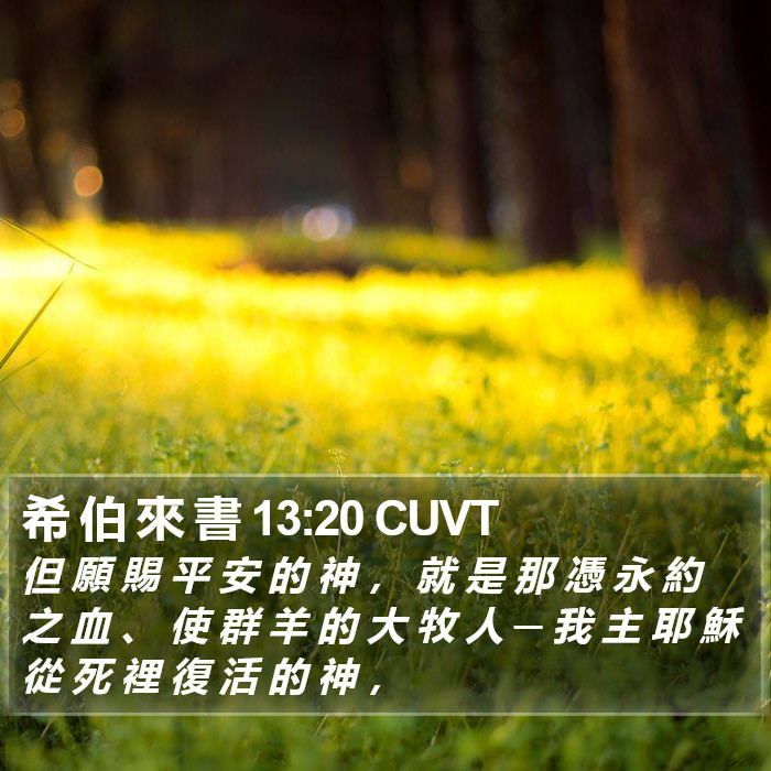 希 伯 來 書 13:20 CUVT Bible Study