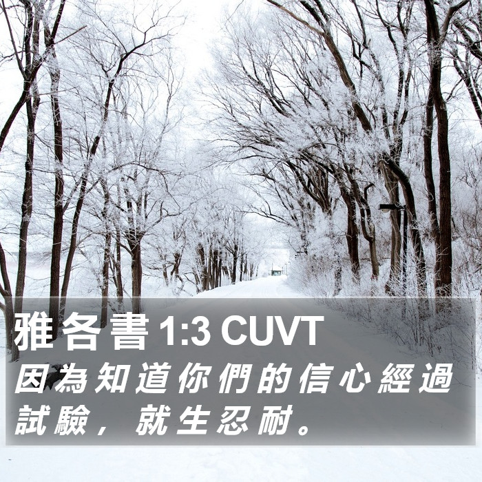 雅 各 書 1:3 CUVT Bible Study