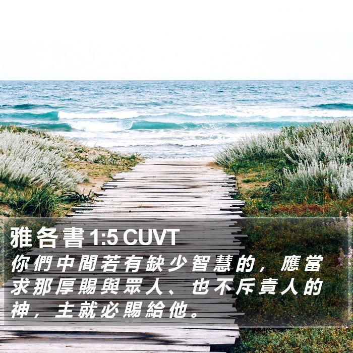 雅 各 書 1:5 CUVT Bible Study